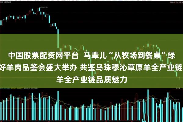 中国股票配资网平台  马辈儿“从牧场到餐桌”绿色认证6好羊肉品鉴会盛大举办 共鉴乌珠穆沁草原羊全产业链品质魅力